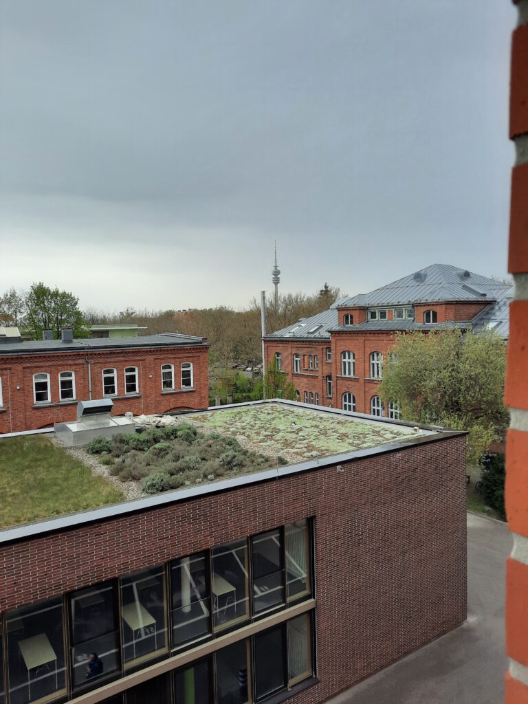 the view from yoummday's office